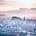 Overview of Edinburgh